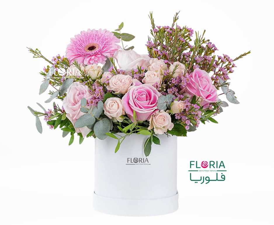 باکس گل سیوا