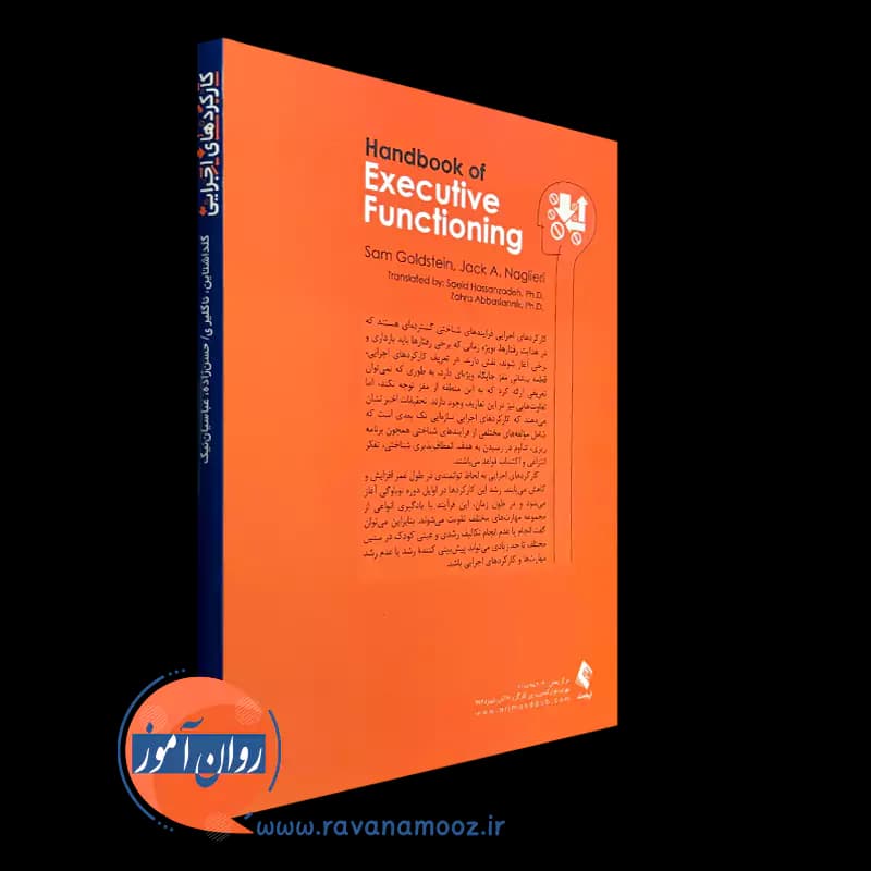کارکردهای اجرایی، مداخلات درمانی – سام گلدشتاین — تصویر ۳