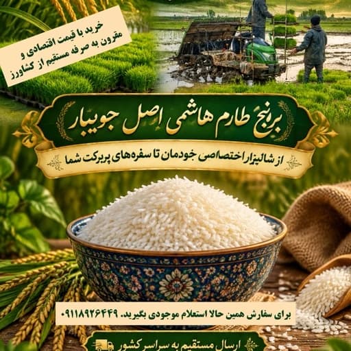 برنج طارم هاشمی فوق ممتاز تازه برداشت جویبار برنج خوش چین 10 کیلو گرمی