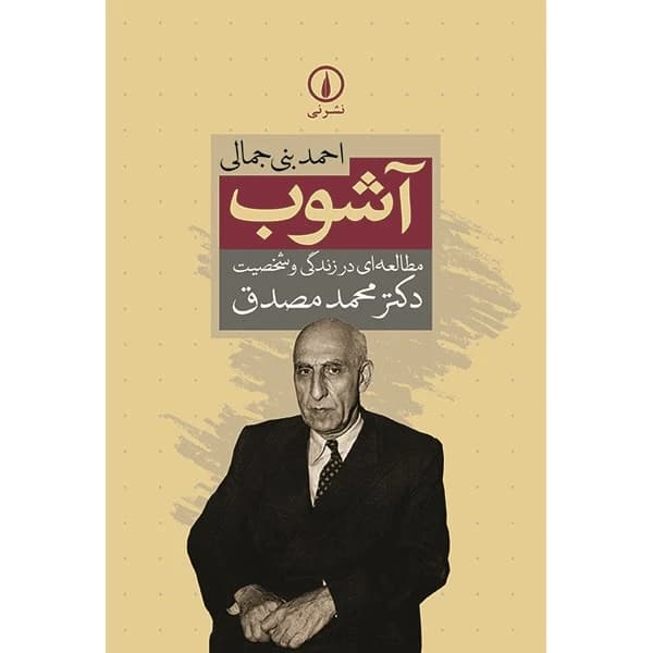 کتاب آشوب نشر نی