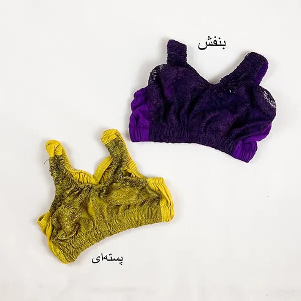 نیم تنه هندی گلستان — تصویر ۲