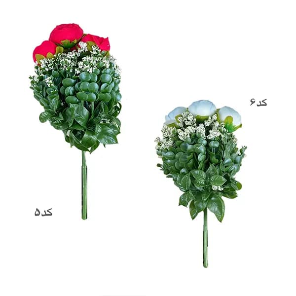 بوته پیونی جور — تصویر ۸