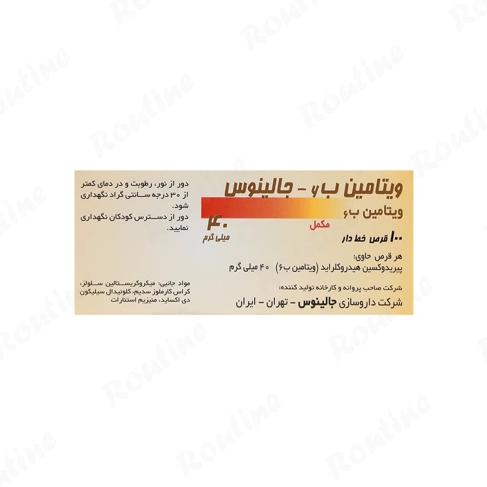 قرص ویتامین ب6 جالینوس 40 میلیگرم 100 عدد — تصویر ۳