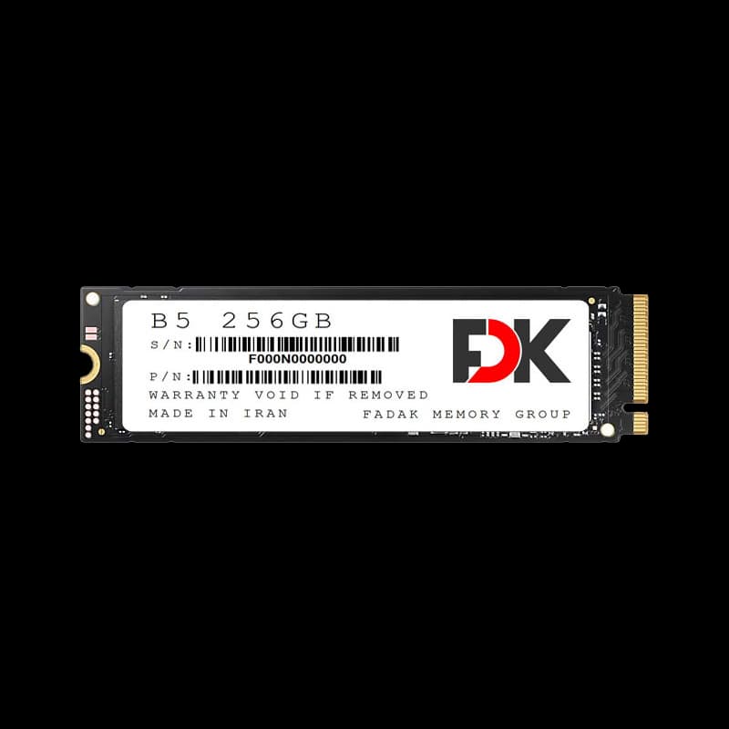 اس اس دی فدک ظرفیت 256 گیگابایت مدل SSD FDK B5 SEREIS 256GB M2 2280 PC