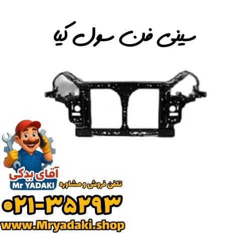 سینی فن سول کیا