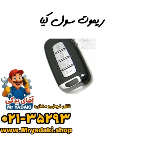 ریموت سول کیا
