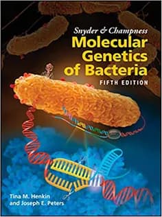 دانلود کتاب Snyder and Champness Molecular Genetics of Bacteria