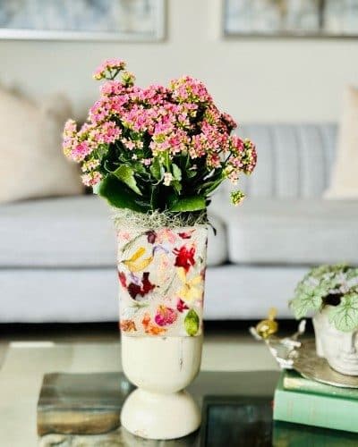چطور گیاه شامادورا را برای دکور اتاق کار از گل‌فروشی آنلاین خریداری کنیم؟