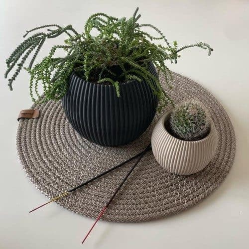 چطور گلدان و گیاه طبیعی را برای روز زن به همسر خریداری کنیم؟