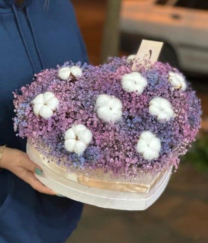 بهترین زمان برای خرید گل ژیپسوفیلیا (عروس) برای گل تبریک کی است؟