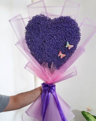 کدام گل فروشی‌ها گل ژیپسوفیلیا (عروس) را به صورت تازه ارائه می‌دهند؟