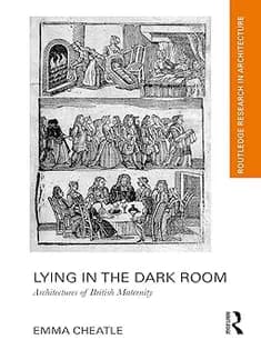 دانلود کتاب Lying in the Dark Room