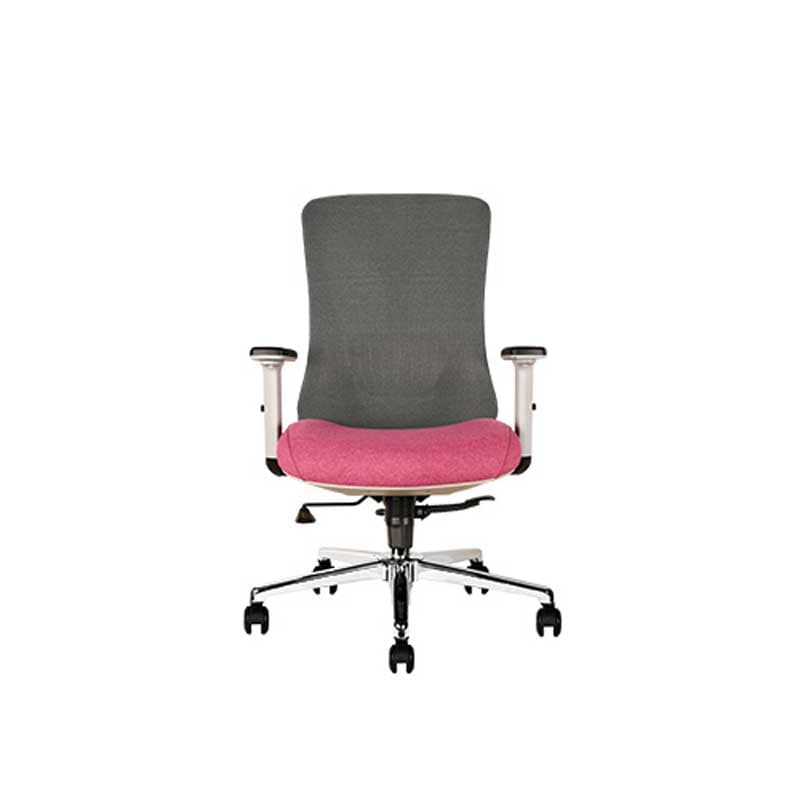 صندلی کارشناسی گلدسیت مدل EZ2301 T — تصویر ۴