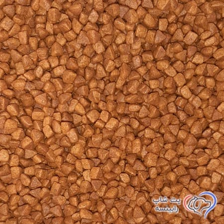 غذای خشک بچه گربه کیتن رفلکس پلاس مرغ 1.5 کیلویی – اورجینال — تصویر ۲