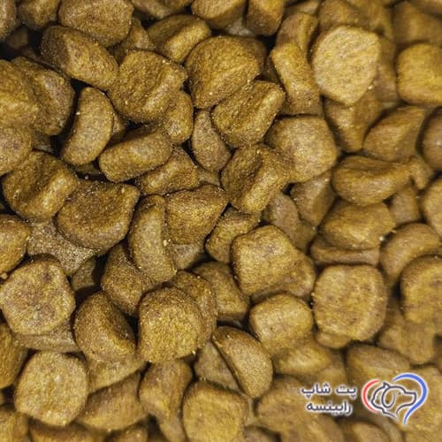 غذای خشک گربه بریتیش ادالت مو کوتاه رویال کنین 4 کیلویی — تصویر ۲