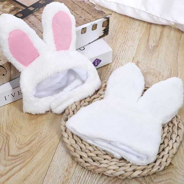 کلاه خرگوشی گربه و سگ نژاد کوچک ( وارداتی )