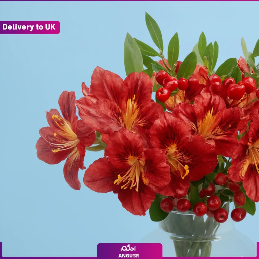 Serenity(Delivery to UK) — تصویر ۲