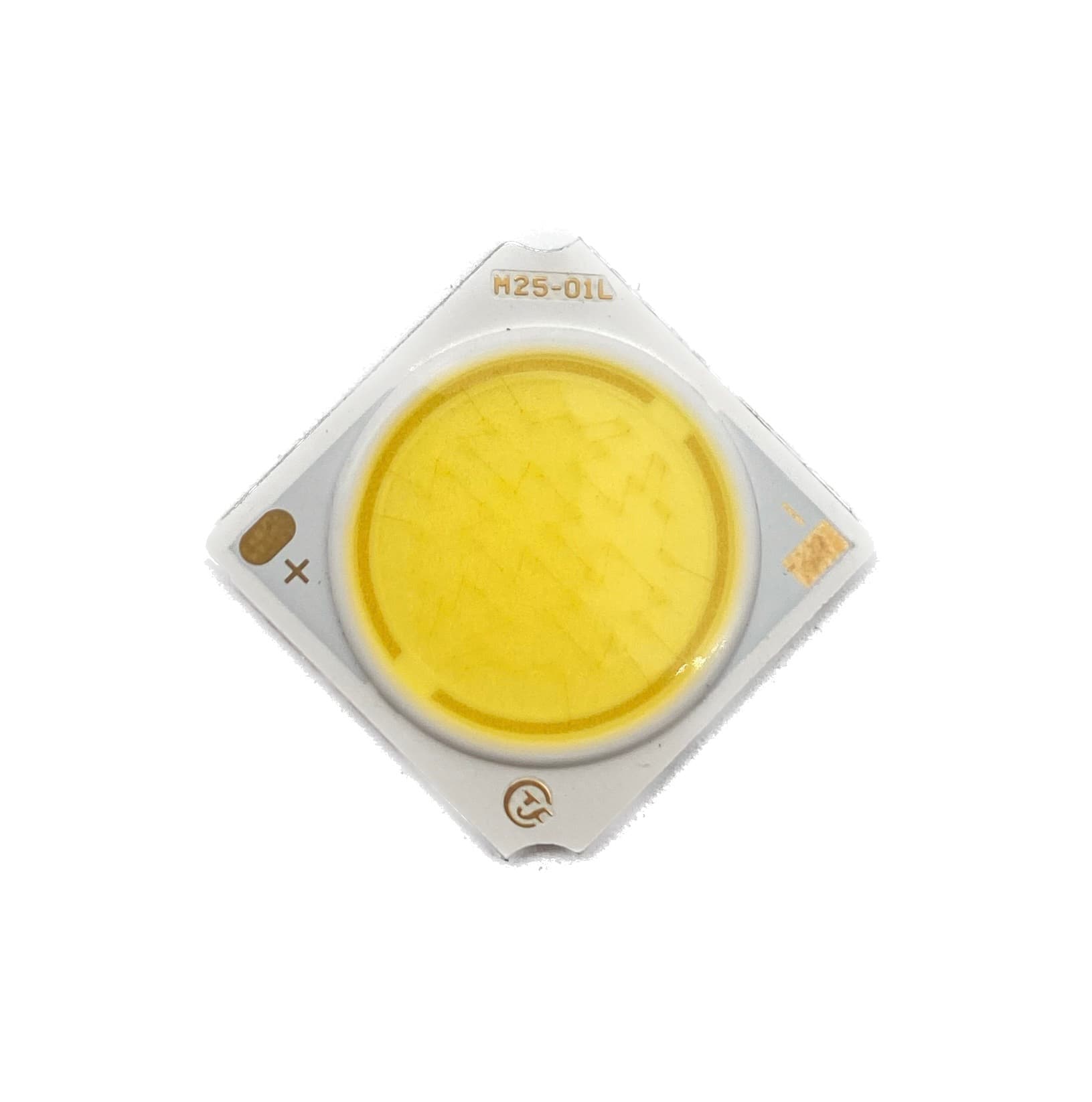 COB M25 (20W) 600MA (CW)