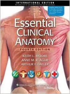 دانلود کتاب Essential Clinical Anatomy
