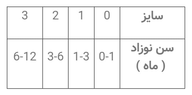 بادی نوزادی طرح قایق آستین کوتاه چیلی بیبی — تصویر ۳