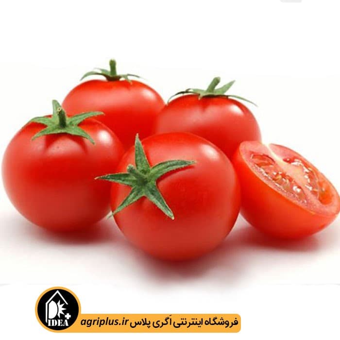 بذر گوجه فرنگی بسته بندی خانگی