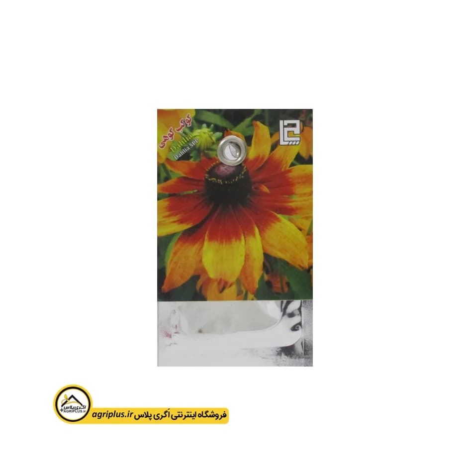 بذر گل کوکب کوهی بسته بندی خانگی — تصویر ۴