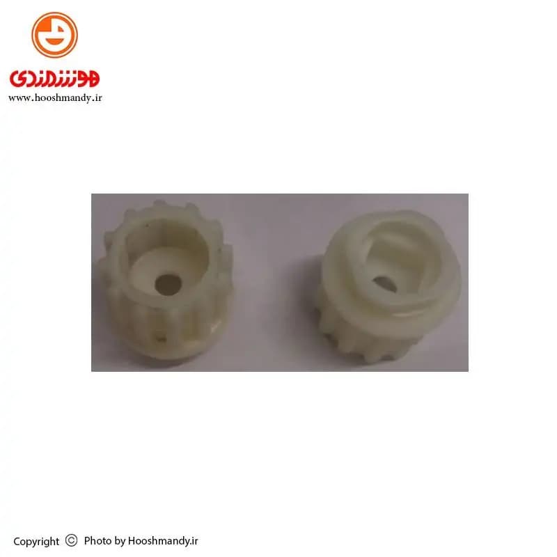دنده پشت روده گرد کوتاه