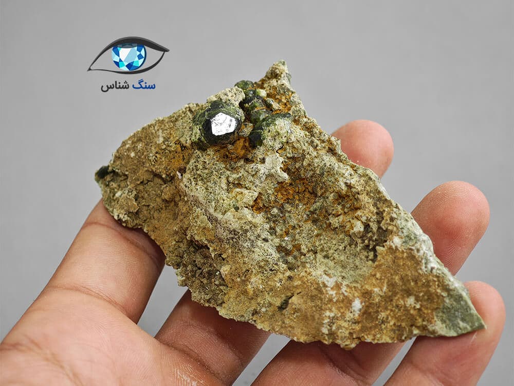 راف گارنت دمانتویید 110 گرم