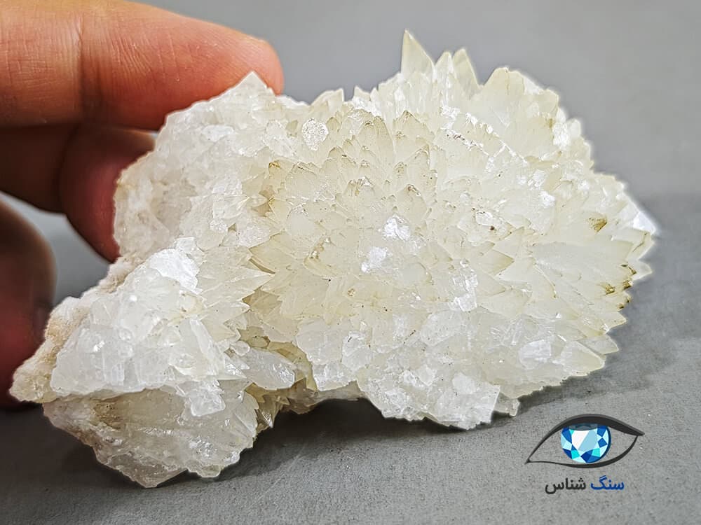 راف کلسیت برگی سفید 132 گرم — تصویر ۲