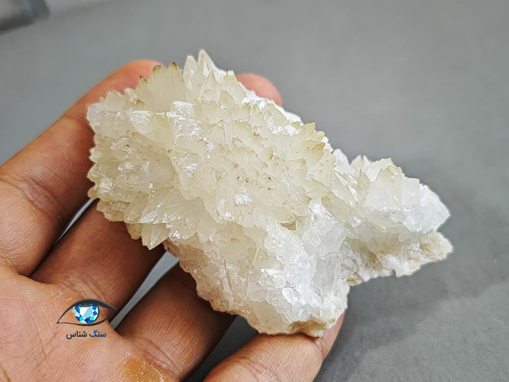 راف کلسیت برگی سفید 132 گرم — تصویر ۳