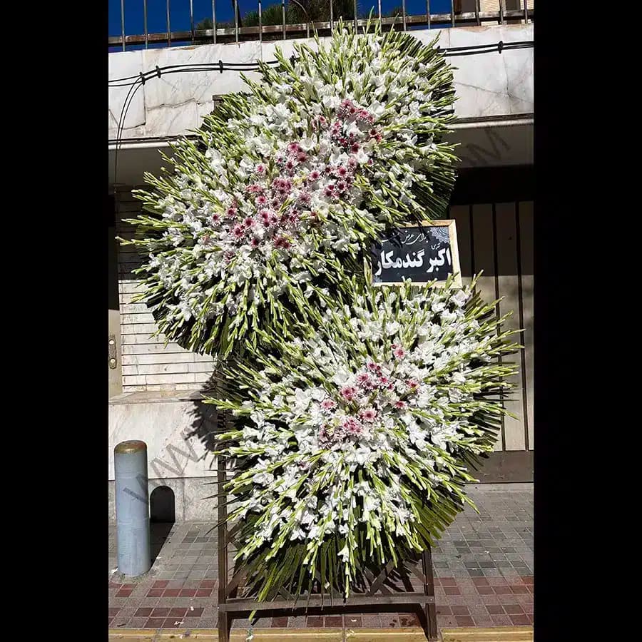 تاج گل رویای سفید — تصویر ۲