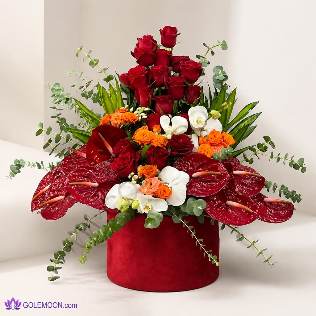 باکس گل شیلا