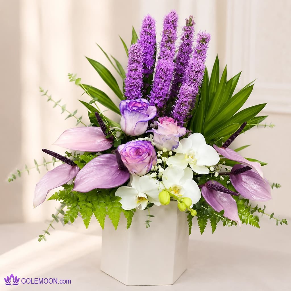 باکس گل سوفی