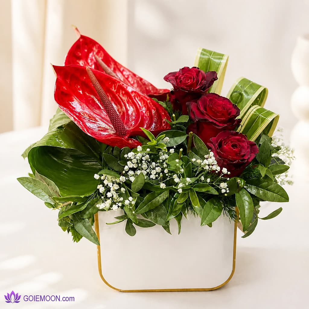 باکس گل نوژا
