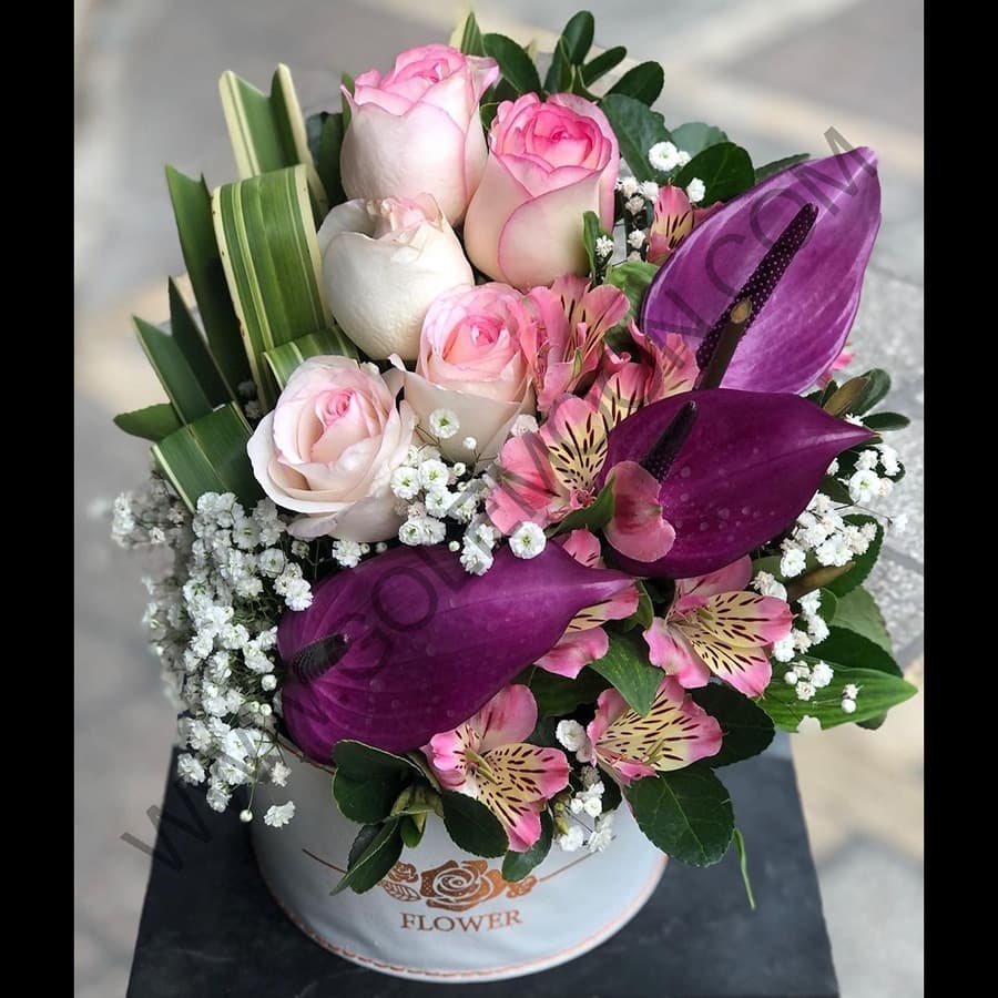 باکس گل شانتون — تصویر ۲