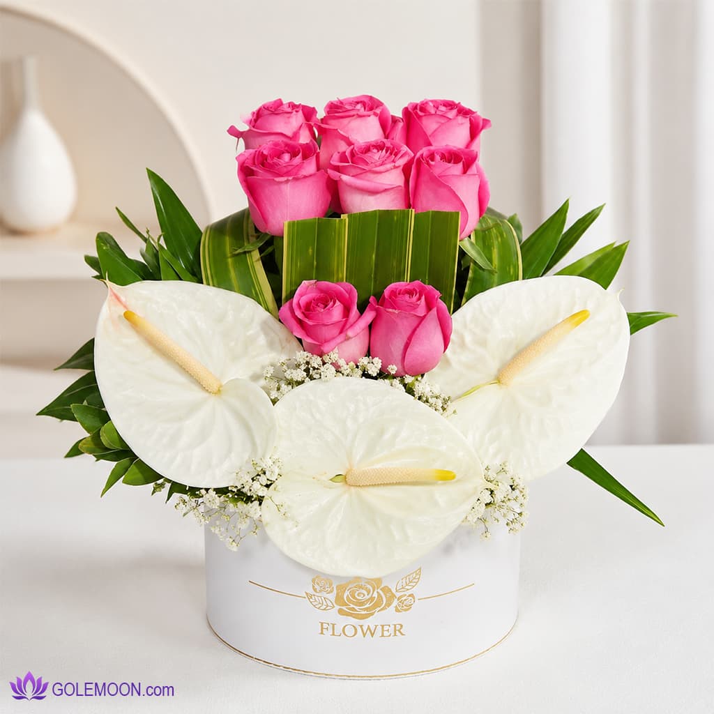باکس گل ناتاچا