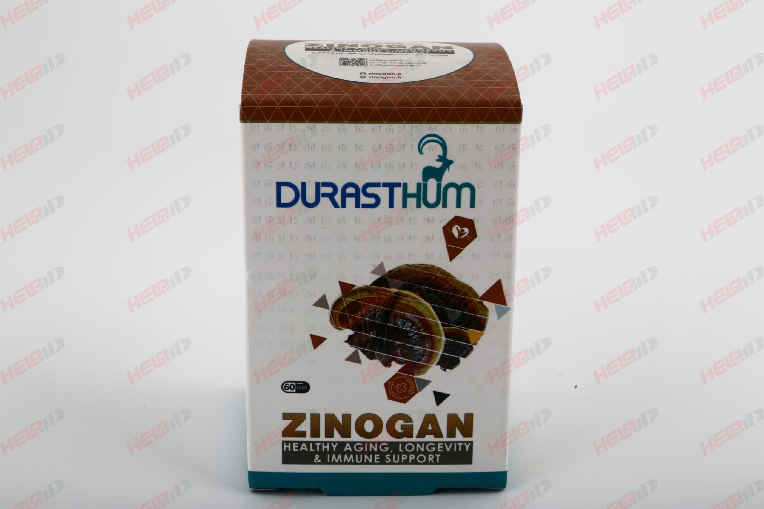زینوگان دورست هوم
