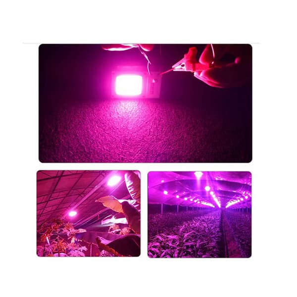 LED COB مخصوص رشد گیاه 220V 50W با درایور — تصویر ۸