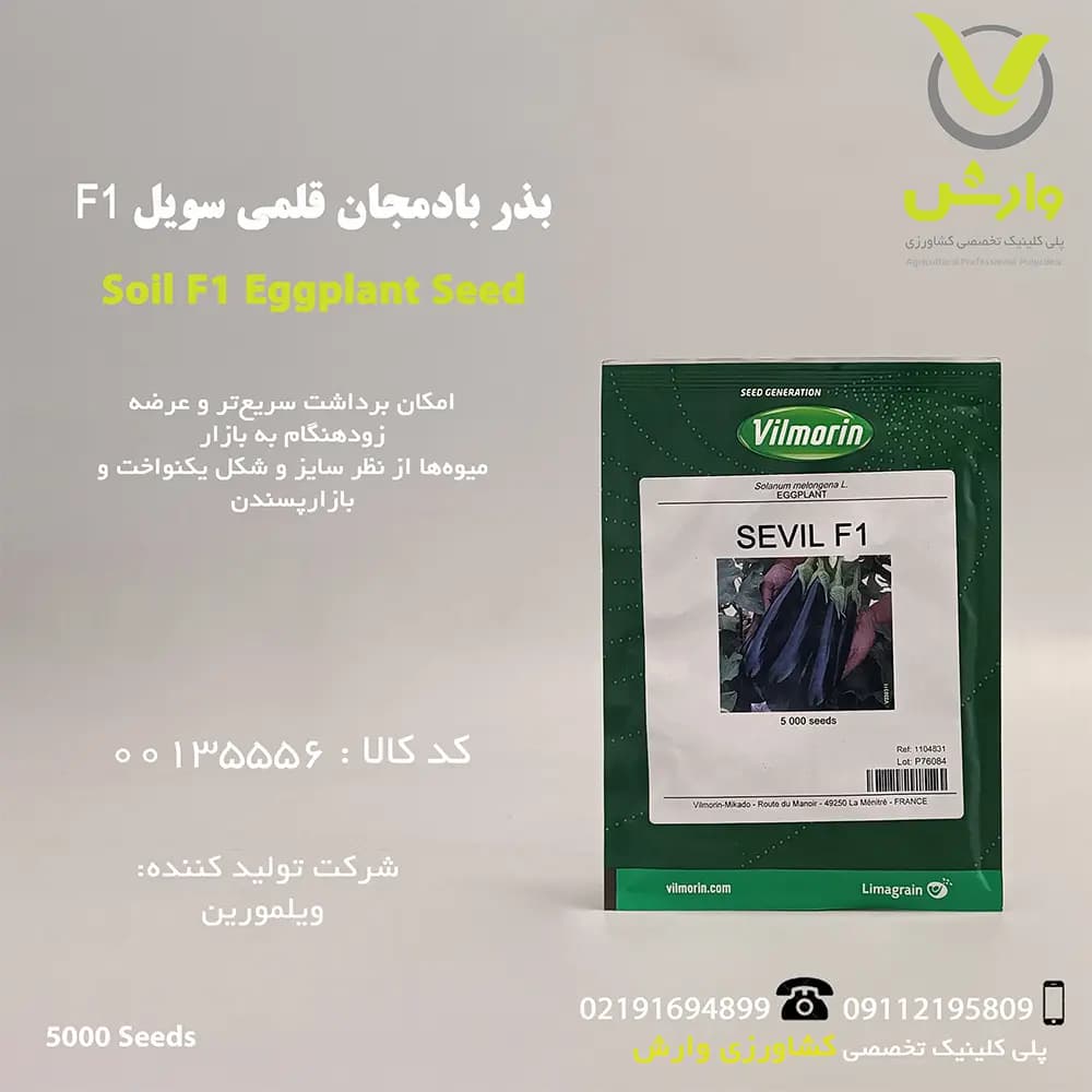 بذر بادمجان قلمی سویل F1 شرکت ویلمورین پاکت 5000 عددی