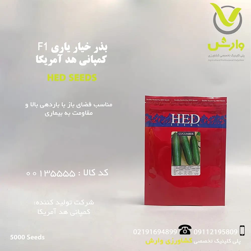 بذر خیار یاری F1 فضای باز کمپانی هد آمریکا پاکت 5000 عددی