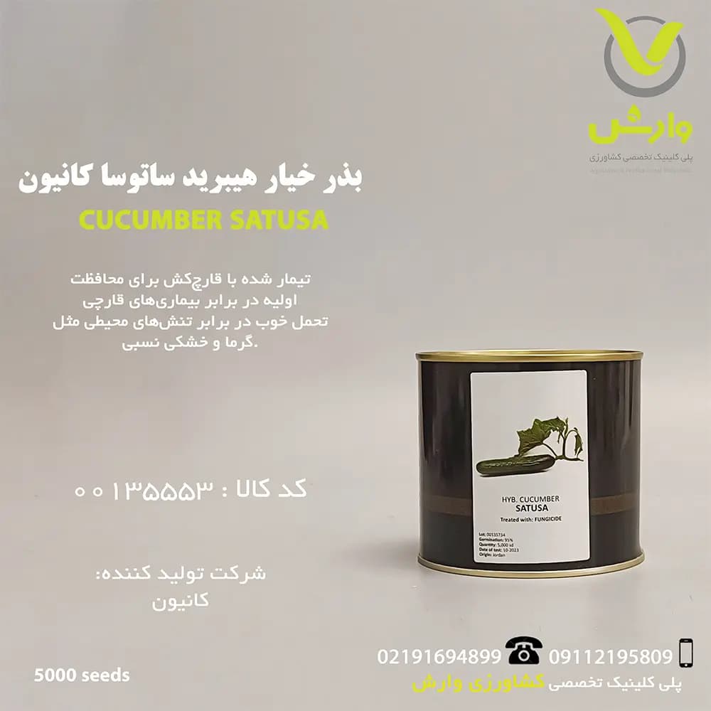 بذر خیار هیبرید ساتوسا کانیون شرکت فلات قوطی 5000 عددی