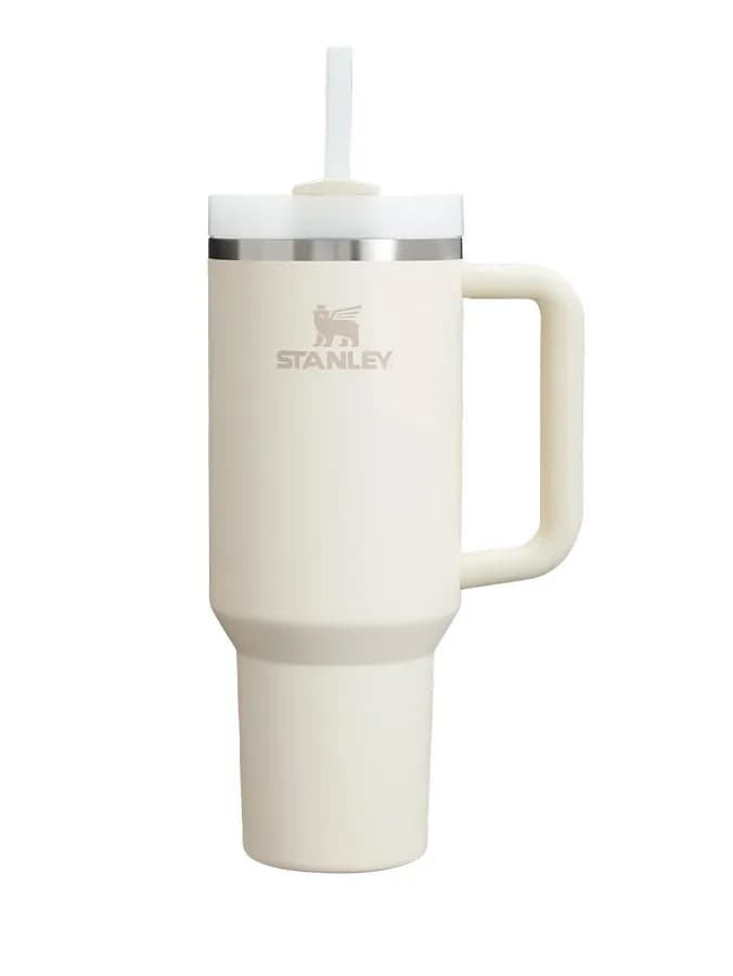 ماگ دسته دار استنلی تامبلر نی دار QUENCHER H20 TUMBLER — تصویر ۷