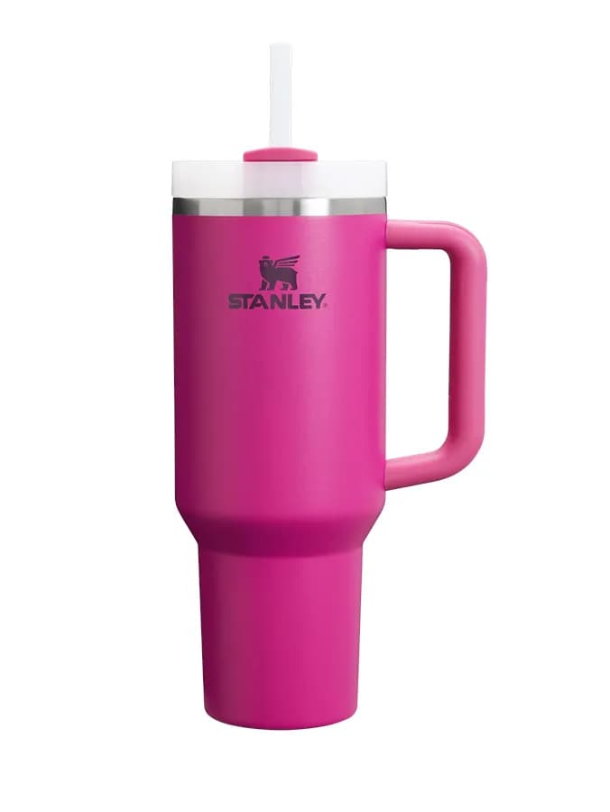 ماگ دسته دار استنلی تامبلر نی دار QUENCHER H20 TUMBLER — تصویر ۸