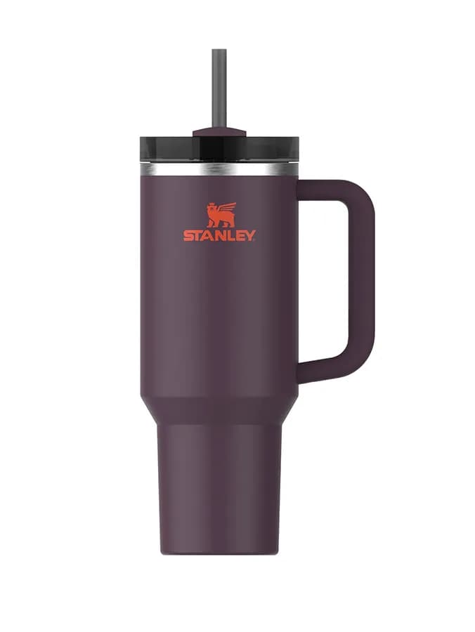ماگ دسته دار استنلی تامبلر نی دار QUENCHER H20 TUMBLER — تصویر ۵