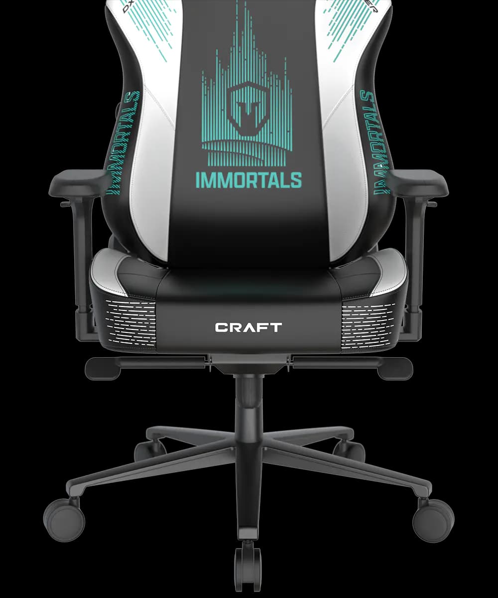 صندلی گیمینگ دی ایکس ریسر DXRacer Craft Pro Immortals – Black/white — تصویر ۵