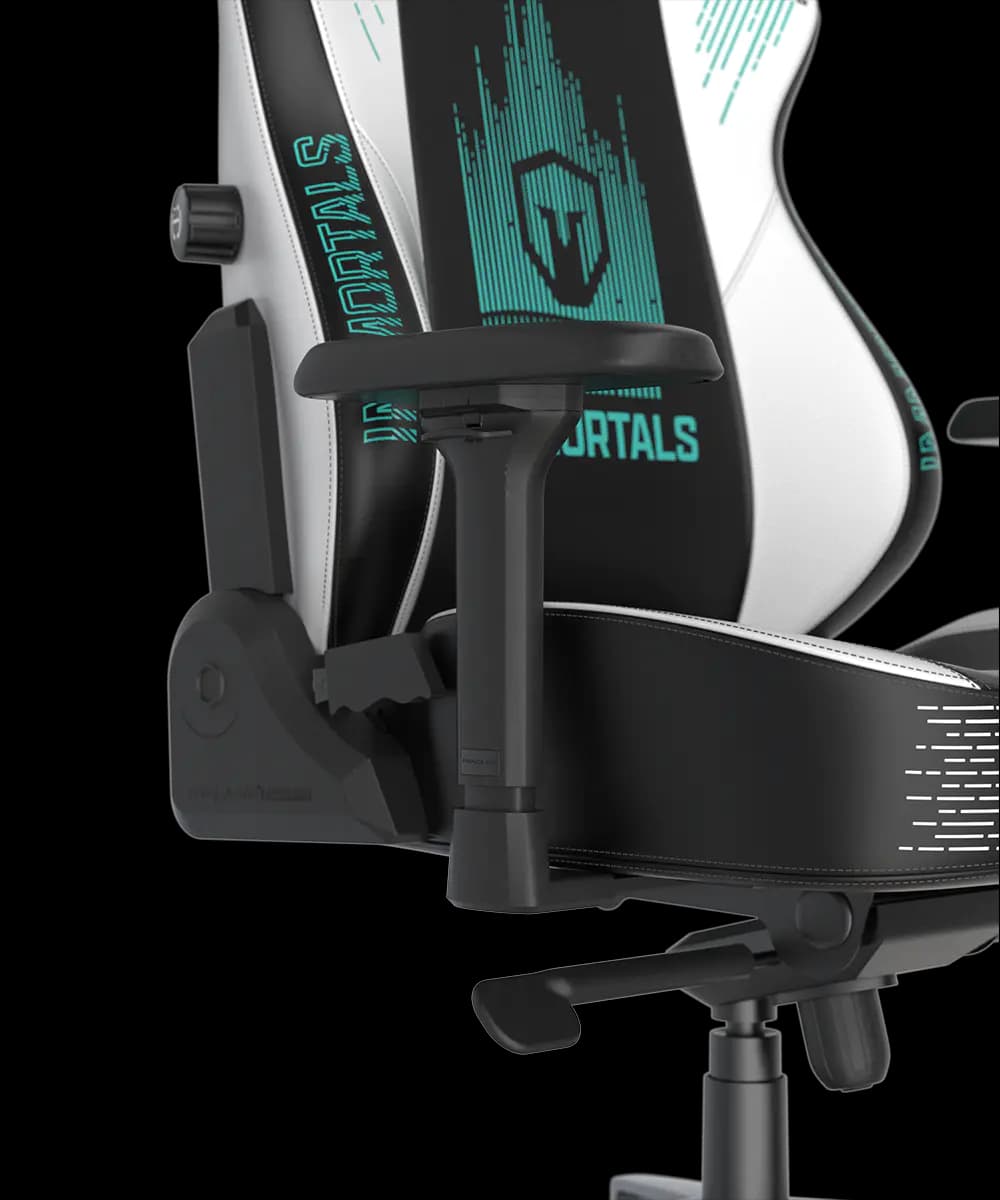 صندلی گیمینگ دی ایکس ریسر DXRacer Craft Pro Immortals – Black/white — تصویر ۳