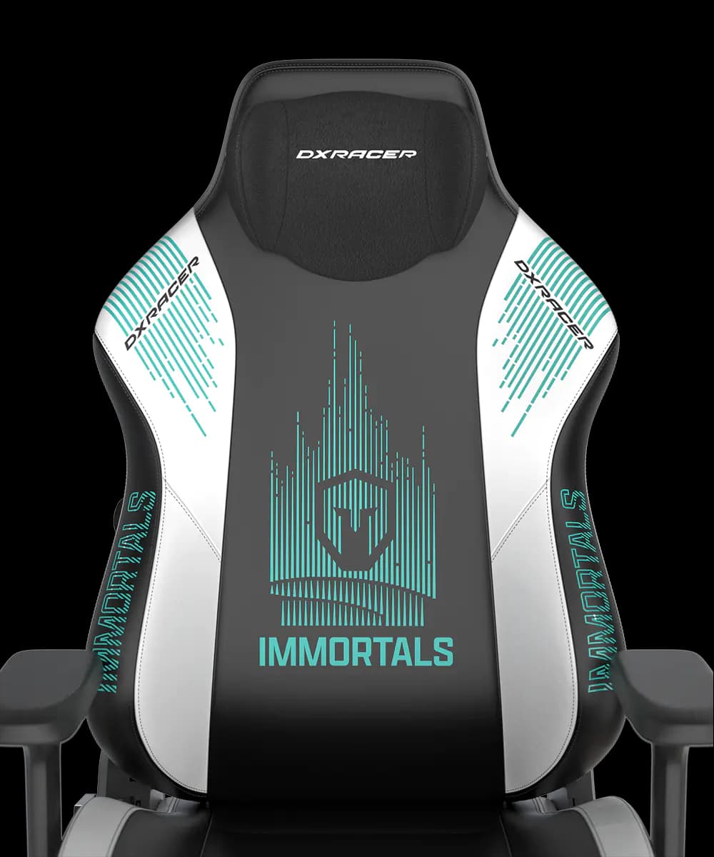 صندلی گیمینگ دی ایکس ریسر DXRacer Craft Pro Immortals – Black/white — تصویر ۲