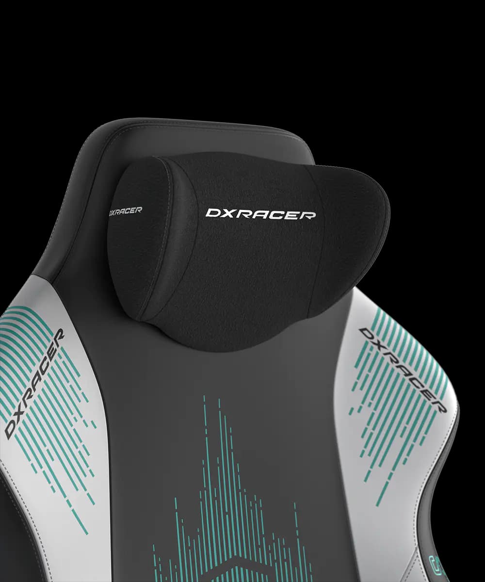 صندلی گیمینگ دی ایکس ریسر DXRacer Craft Pro Immortals – Black/white — تصویر ۷