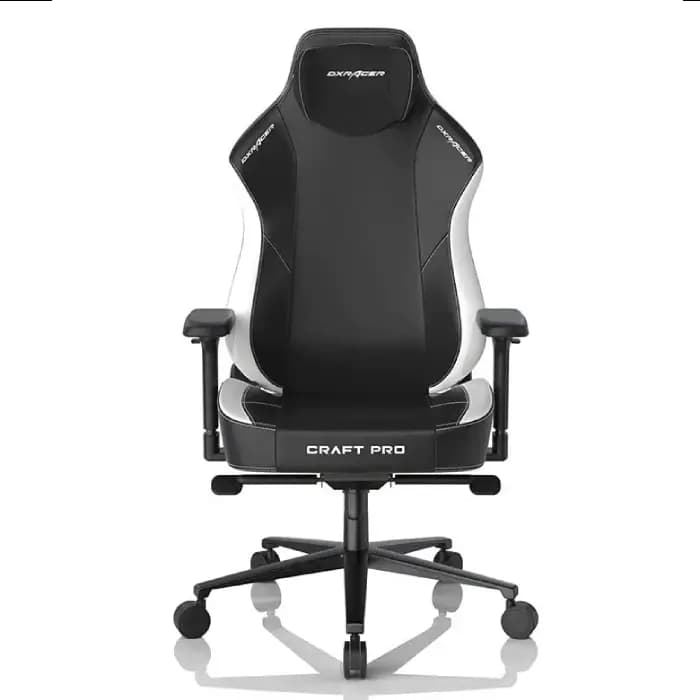 صندلی گیمینگ دی ایکس ریسر DXRacer Craft Pro Classic – Black/white