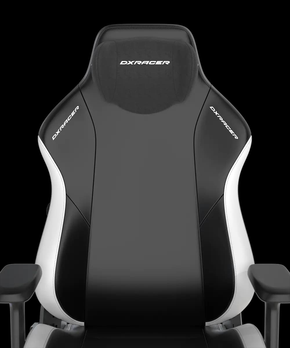صندلی گیمینگ دی ایکس ریسر DXRacer Craft Pro Classic – Black/white — تصویر ۵
